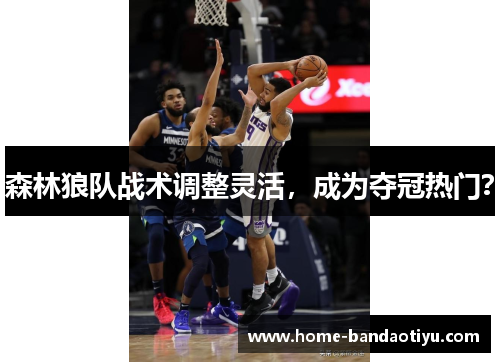 森林狼队战术调整灵活,成为夺冠热门?